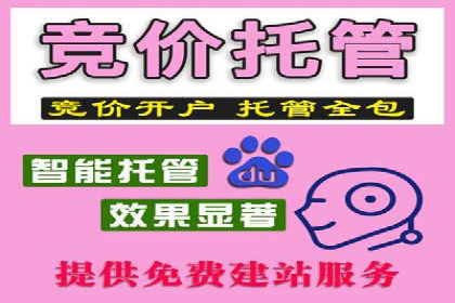 竞价开户推广案例实战案例分析